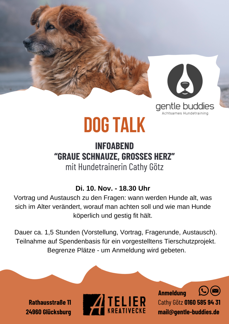 Hundetraining (1)